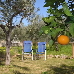 Cascina Degli Ulivi Bed & Breakfast Castelluzzo